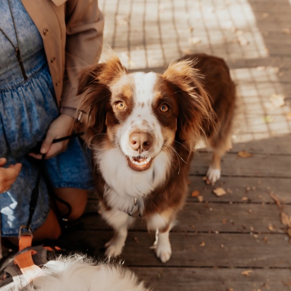 Meet LoMeinLauryn ✨🥰🫶🌱🪩🤠🩵 - Picture 6 of 6